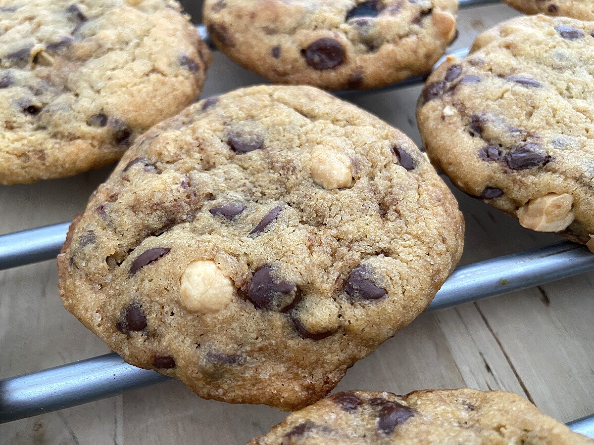 delikatissen recetas delikatissen posters delikatissen Peanut Chocolate Chip Cookies galletas rápidas galletas pepitas chocolate galletas fáciles galletas chocolate y frutos secos galletas cacahuetes cookies riquísimas cookies fáciles cookies caseras 